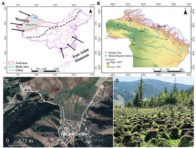 Centennial records of Polycyclic aromatic hydrocarbons and black carbon in Altay Mountains peatlands, Xinjiang, China